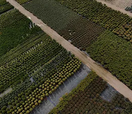 škôlkarský materiál výroba a distribúcia Poľsko fotografia 06