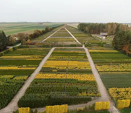 škôlkarský materiál výroba a distribúcia Poľsko fotografia 07