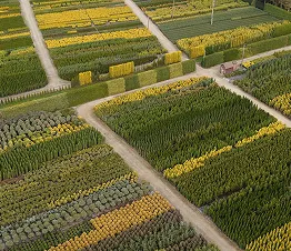 škôlkarský materiál výroba a distribúcia Poľsko fotografia 08