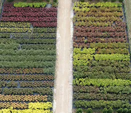 škôlkarský materiál výroba a distribúcia Poľsko fotografia 09