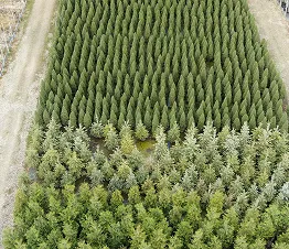 škôlkarský materiál výroba a distribúcia Poľsko fotografia 10